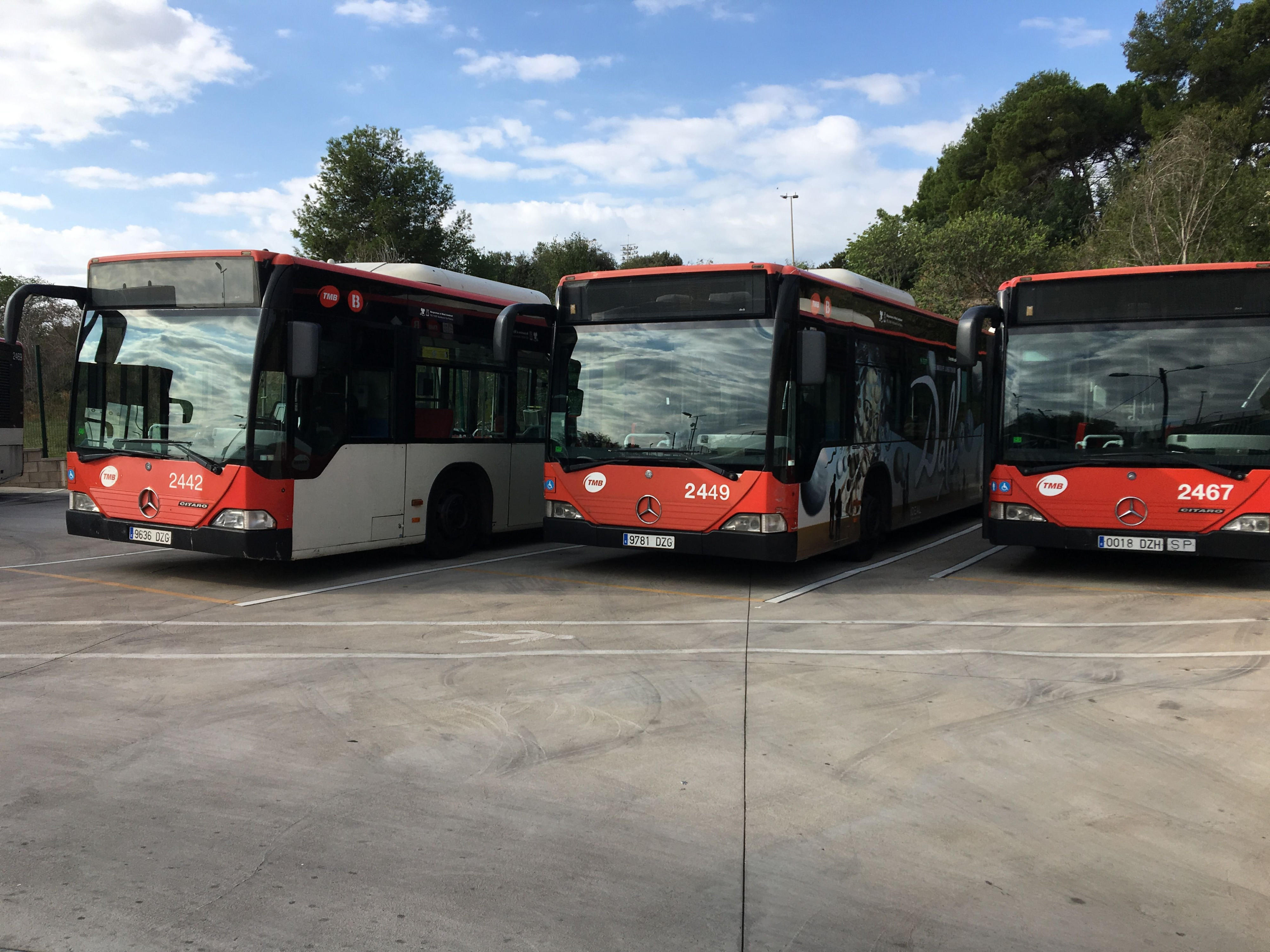 Autobuses de TMB en la cochera de Horta / METRÓPOLI - RP