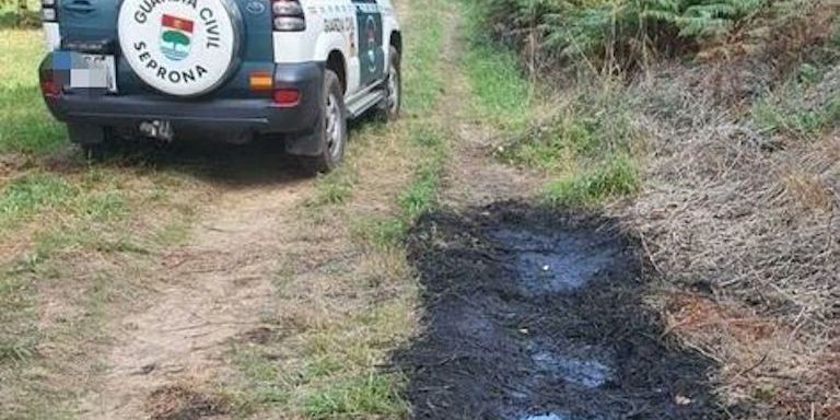 La tumba de Pontons en la que escondió el cadáver / MINISTERIO DE INTERIOR