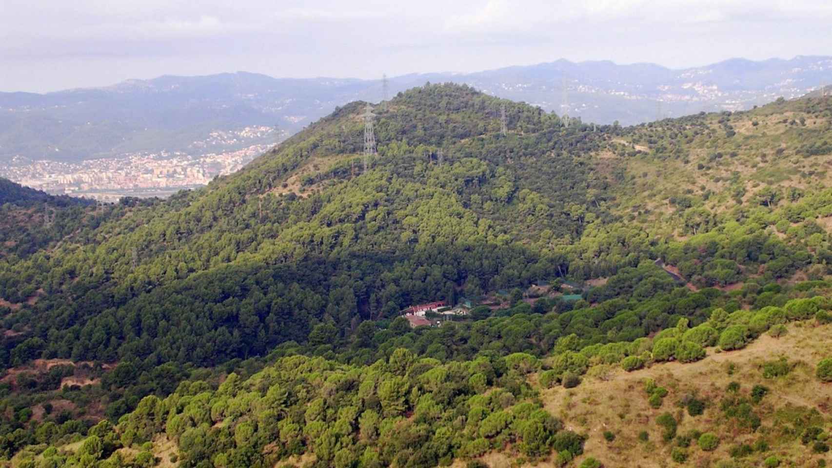 La Sierra de Collserola en Barcelona / ARCHIVO