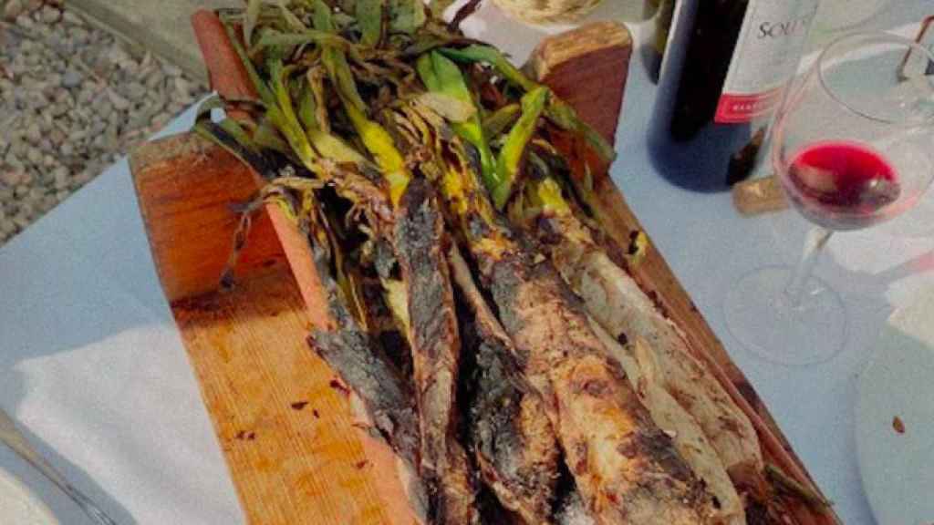 Calçots de la masía Can Carbonell