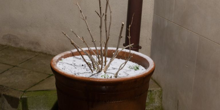 Nieve en el Observatori Fabra / Alfons Puertas (@alfons_pc)