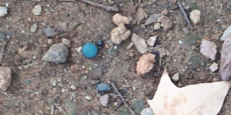 Una de las pastillas azules que vecinos de Sant Andreu sospechan que puede ser la causante de las muertes / CEDIDA