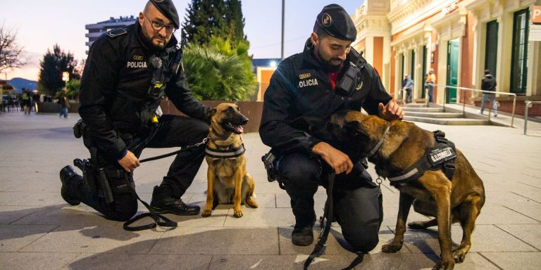 Los dos guías caninos de Lúa y Tro /  GALA ESPÍN MA