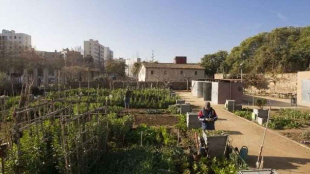 Huertos urbanos en Barcelona / AJ BCN