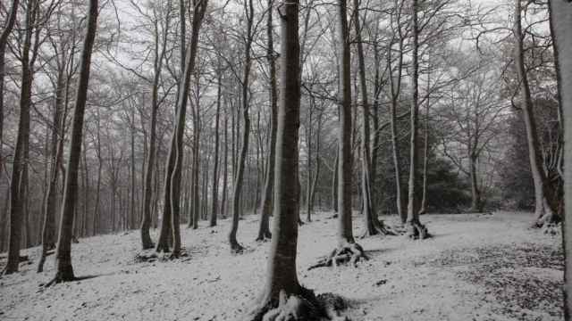 El Parque Natural del Montseny nevado / ARCHIVO