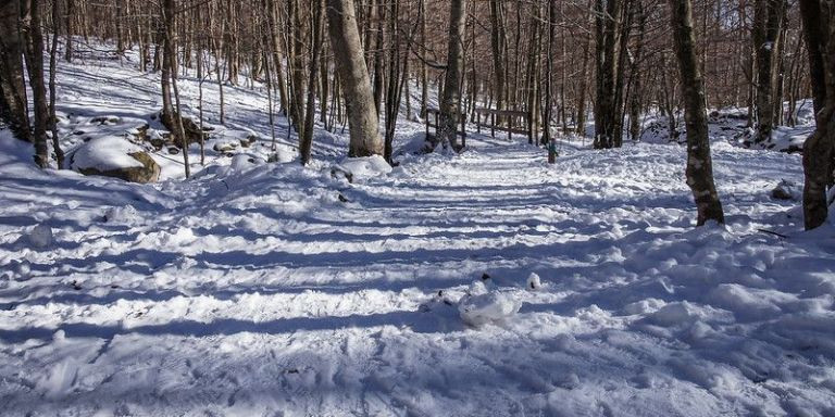 El Parque Natural del Montseny nevado / ARCHIVO