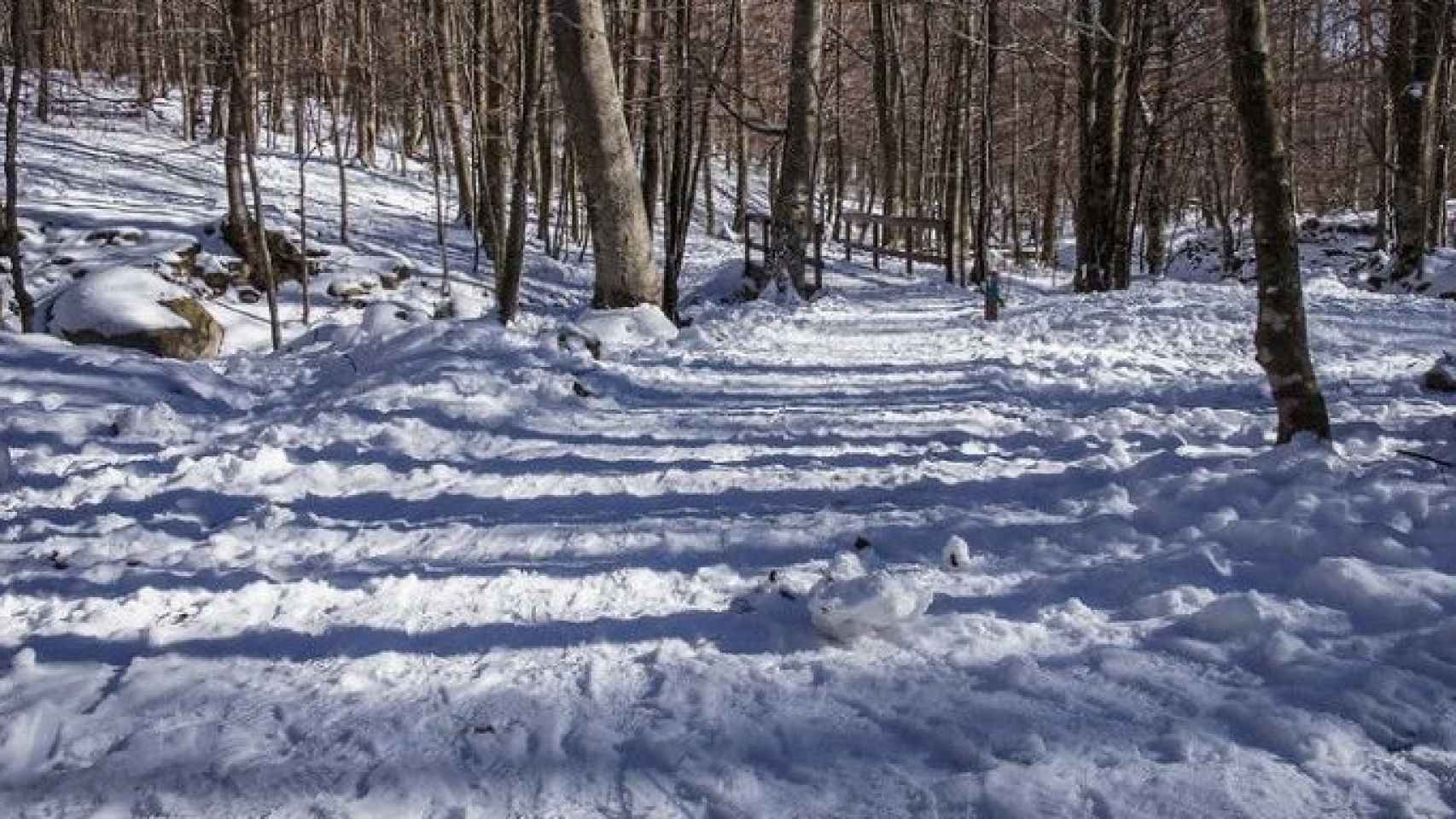 El Parque Natural del Montseny nevado