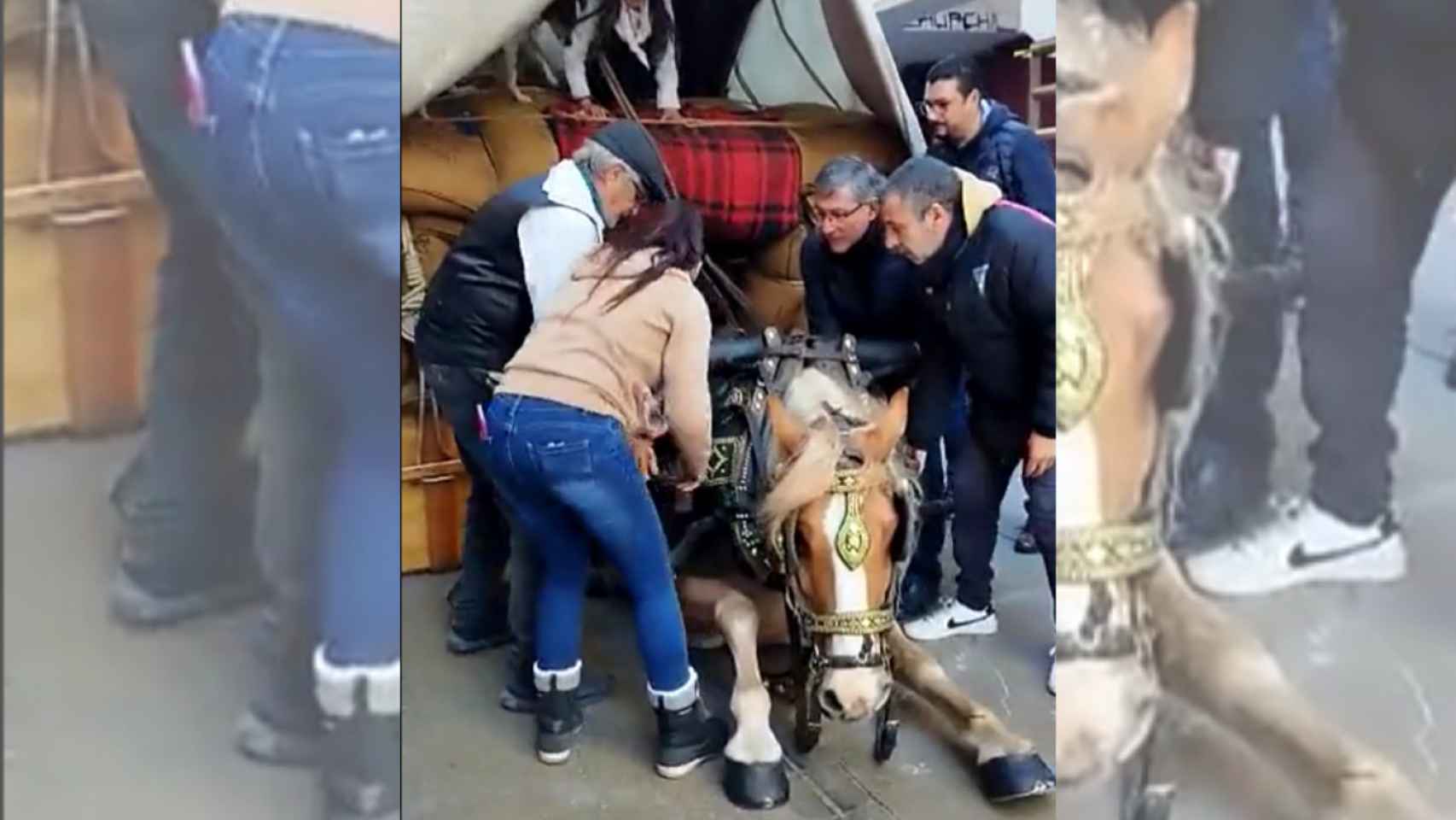 Fotograma del caballo que ha caído al suelo extenuado / TWITTER