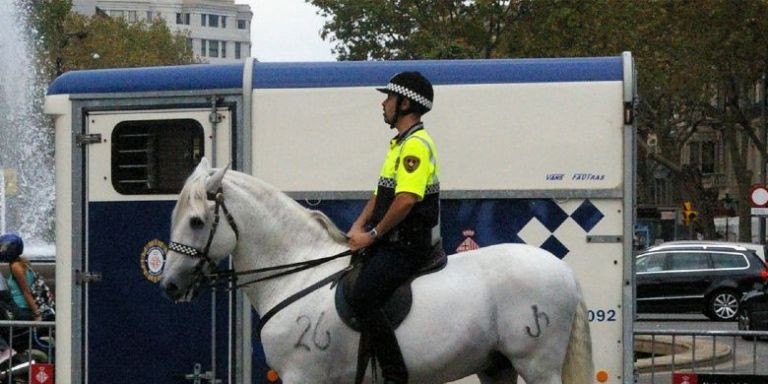 Agente con un caballo de la Unidad Montada / WIKI