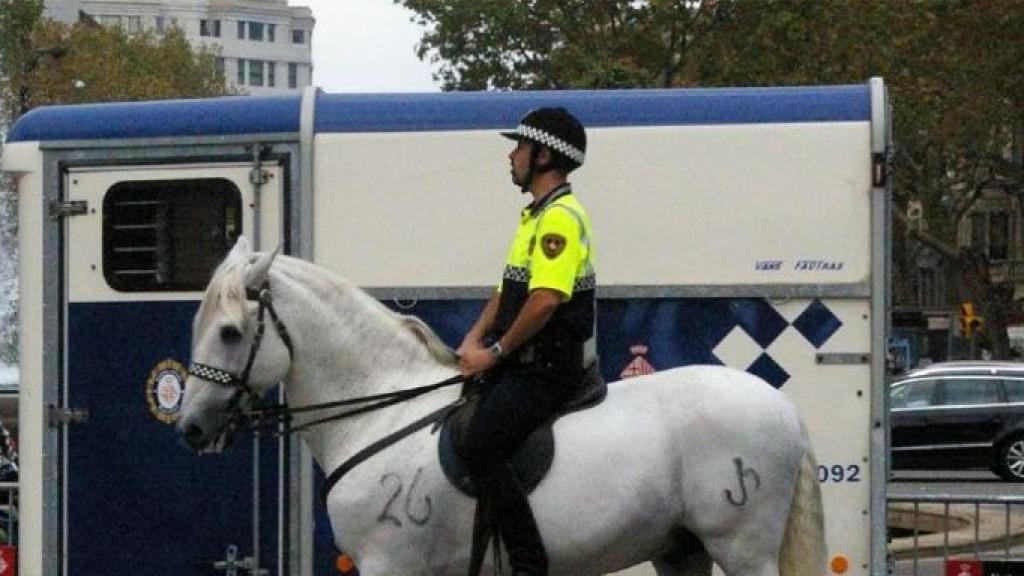 Agente con un caballo de la Unidad Montada / WIKI