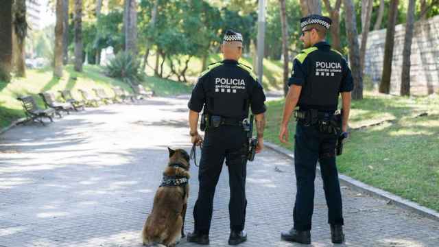 Agentes de la Guardia Urbana con un perro de la Unidad Canina / ARCHIVO