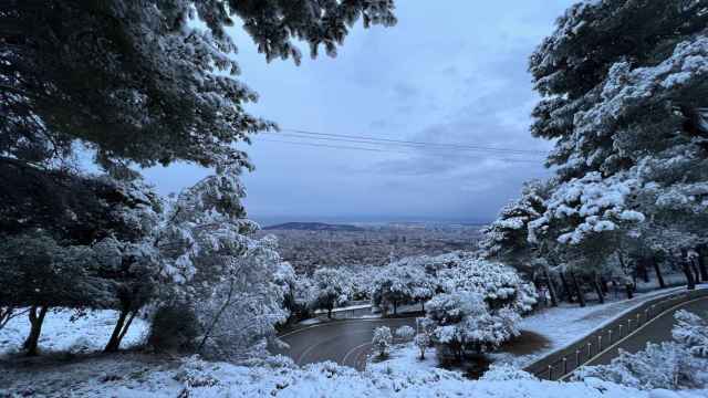 La sierra de Collserola, nevada este lunes / ROBERTO DE GODOS