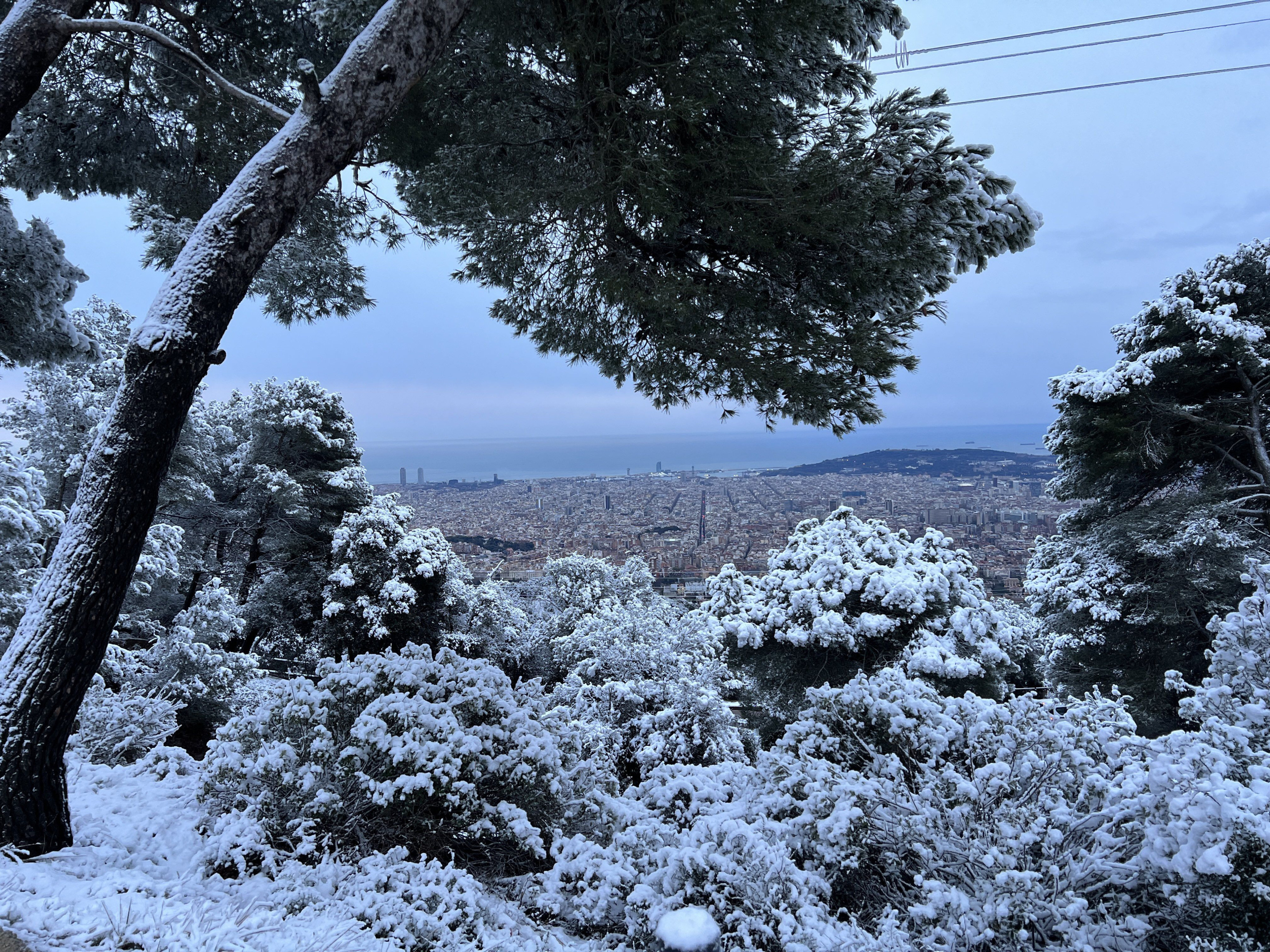 Nieve en Collserola este lunes / ROBERTO DE GODOS