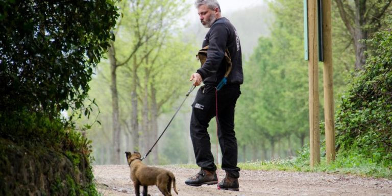 Uno de los entrenadores del WorkingDog Solutions / WORKINGDOG SOLUTIONS