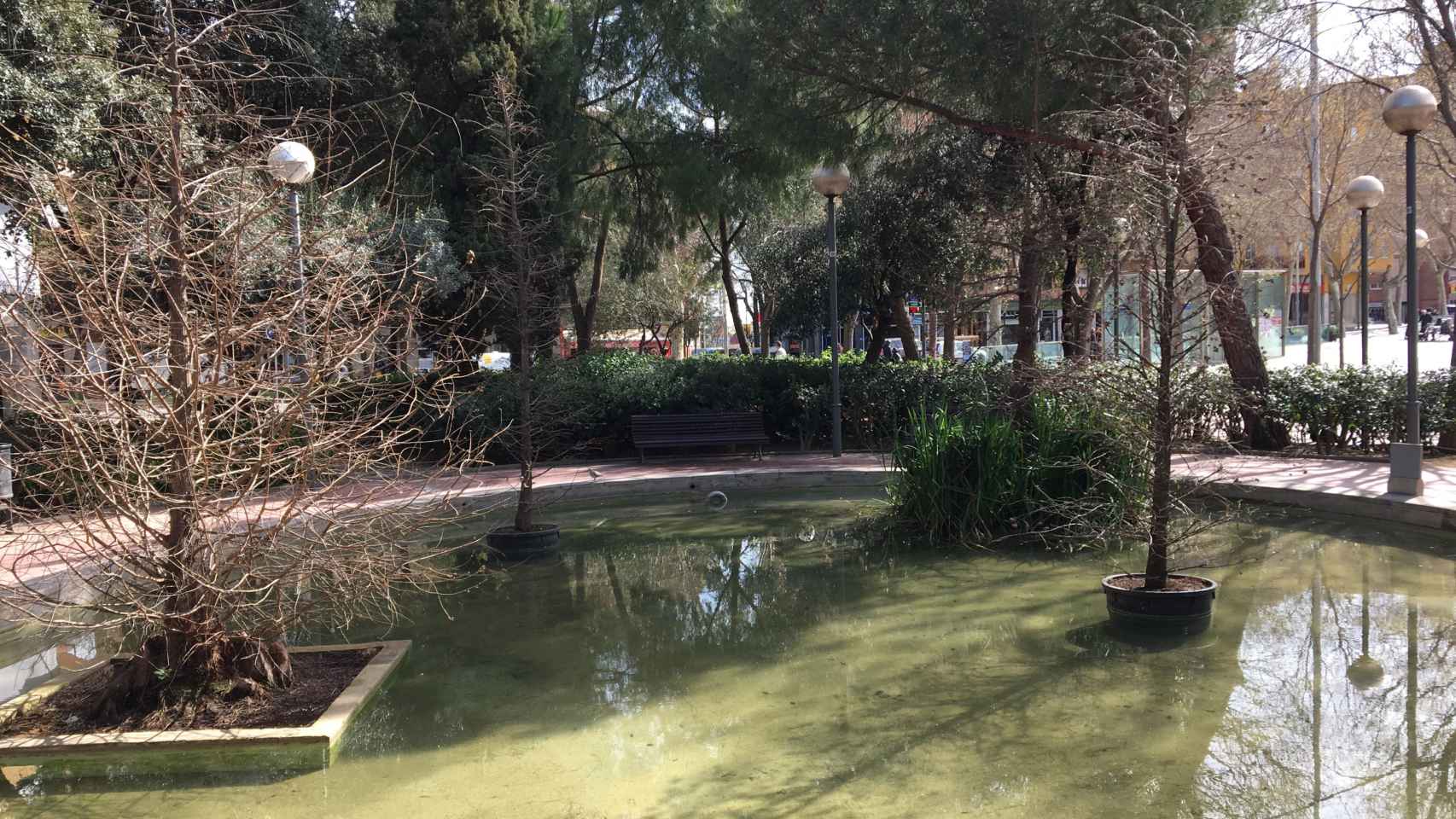 Lago en los jardines de Can Fabra, donde ocurrieron los hechos / METRÓPOLI - RP