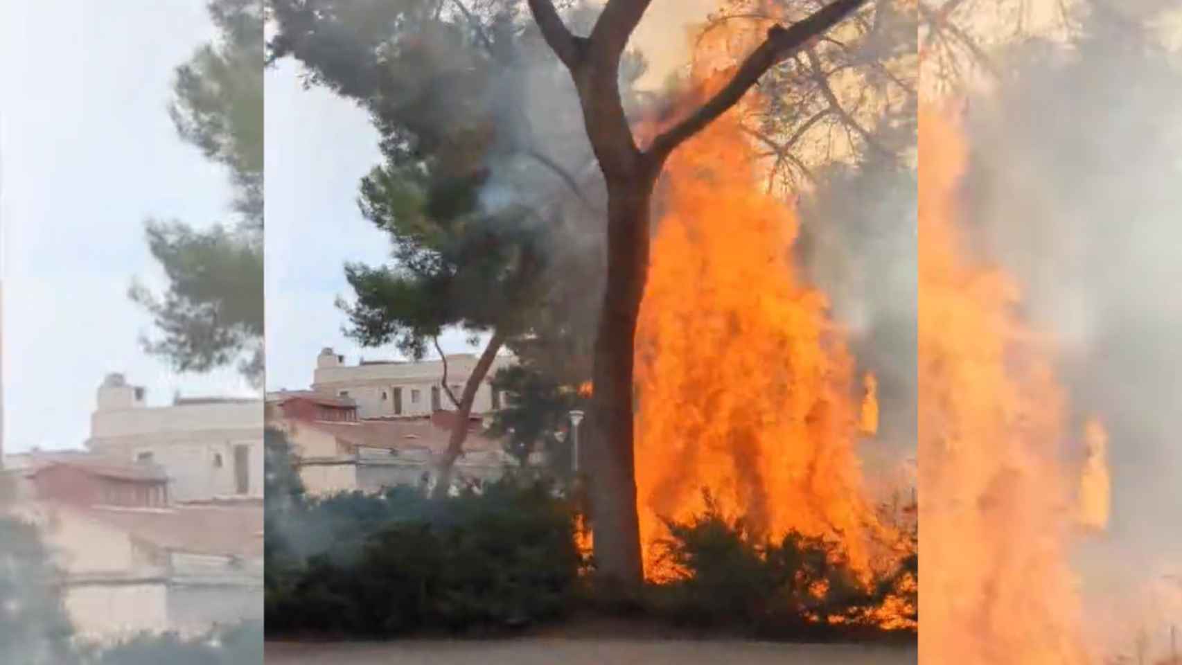 Incendio en los jardines de Can Mantega de Sants / TWITTER @ELOIMAURI