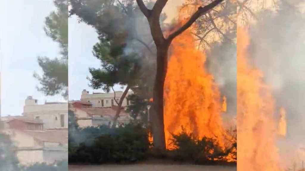 Incendio en los jardines de Can Mantega de Sants / TWITTER @ELOIMAURI