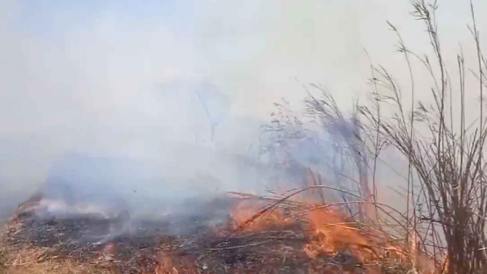 Incendio en un bosque de Barcelona en una imagen de archivo / BOMBERS