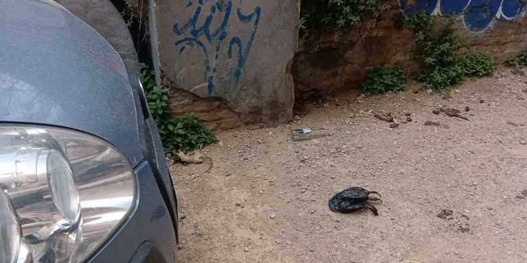 Ratas y excrementos en el parking de la calle de Lepant / MA