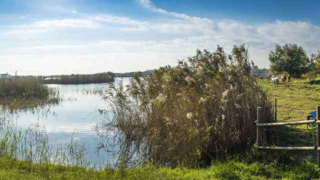 Espacio natural del delta del Llobregat / BAIX LLOBREGAT TURISME