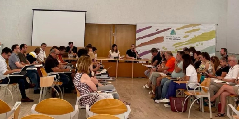 Pleno del Consell Comarcal del Baix Llobregat / CONSELL COMARCAL BAIX LLOBREGAT