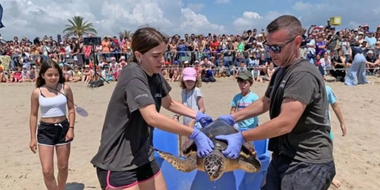 Los voluntarios liberan a una tortuga en el Prat / CRAM