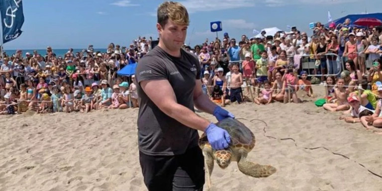 Un voluntario libera a una tortuga en El Prat / CRAM