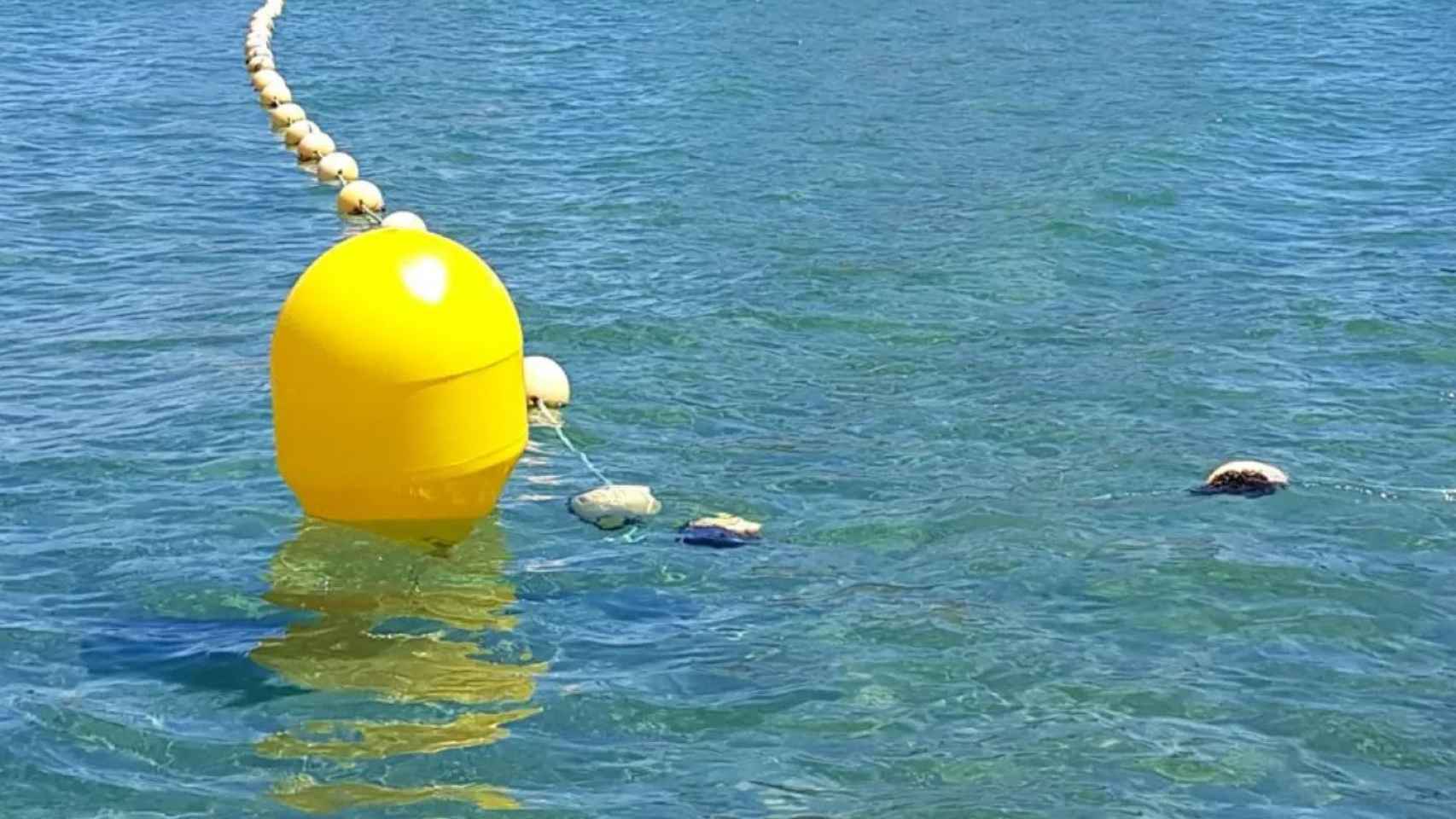 Boyas en una playa en una imagen de archivo