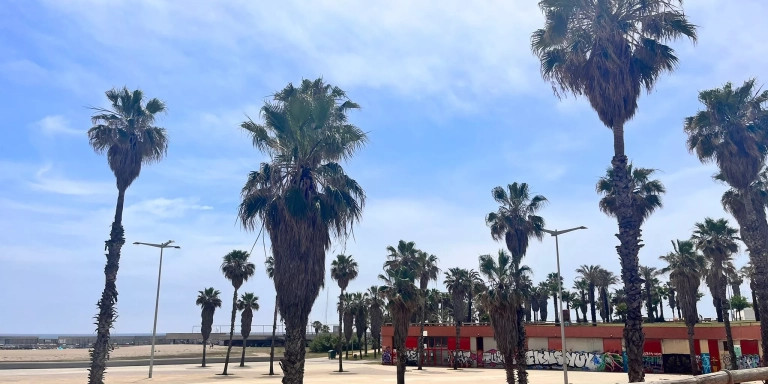 Playa del Fòrum de Sant Adrià / METRÓPOLI