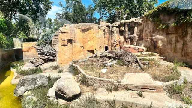 El recinto del oso pardo del Zoo de Barcelona, sin apenas sombra y sin rastro del animal / METRÓPOLI