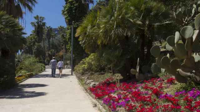 Jardines de Mossèn Costa i Llobera / AYUNTAMIENTO DE BARCELONA