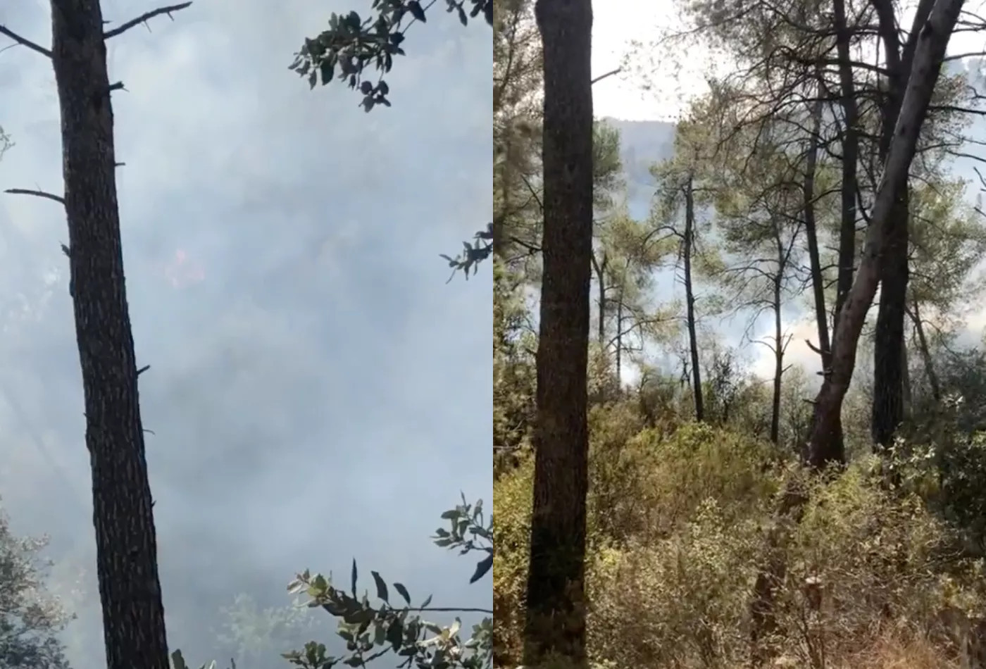 Incendio en la montaña de Collserola de Barcelona / METRÓPOLI