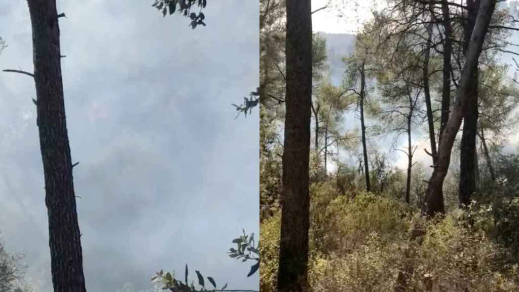 Incendio en la montaña de Collserola de Barcelona / METRÓPOLI