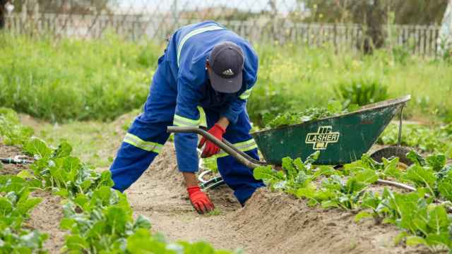 Un jardinero trabajando / Unsplash