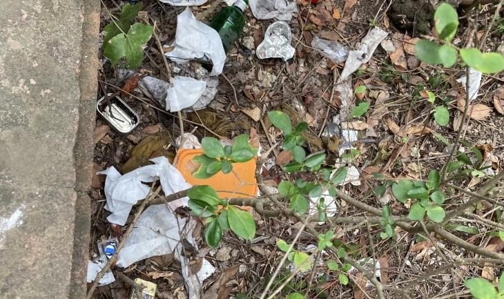 Basura en el interior de los jardines / Metrópoli