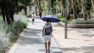 Barcelona creará 200 espacios de sombra para protegerse del sol: 13 millones de euros para generar 50.000m²