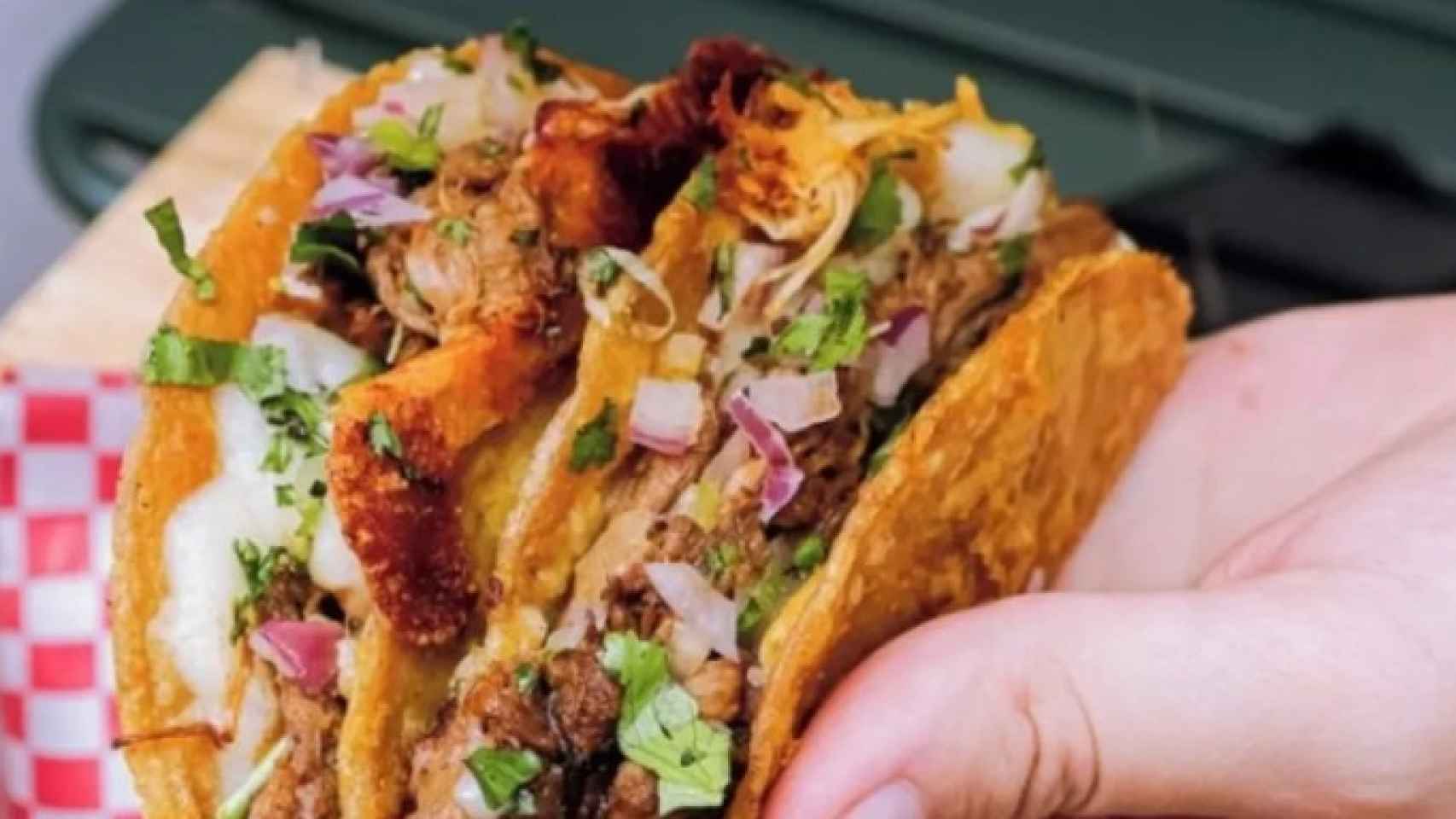 Los tacos de la Birreria Dos Coyotes / BIRRERIA DOS COYOTES