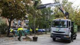 Operarios con un vehículo de Parcs i Jardins / AJ BCN