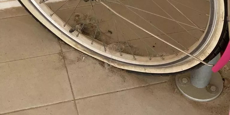 Capa de polvo en la rueda de una bicicleta de Can Fabra / CEDIDA