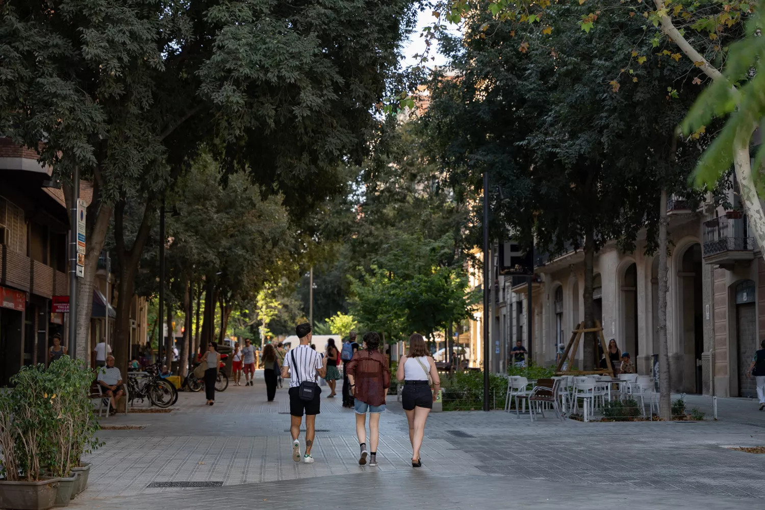 La calle Consell de Cent de Barcelona / LUIS MIGUEL AÑÓN
