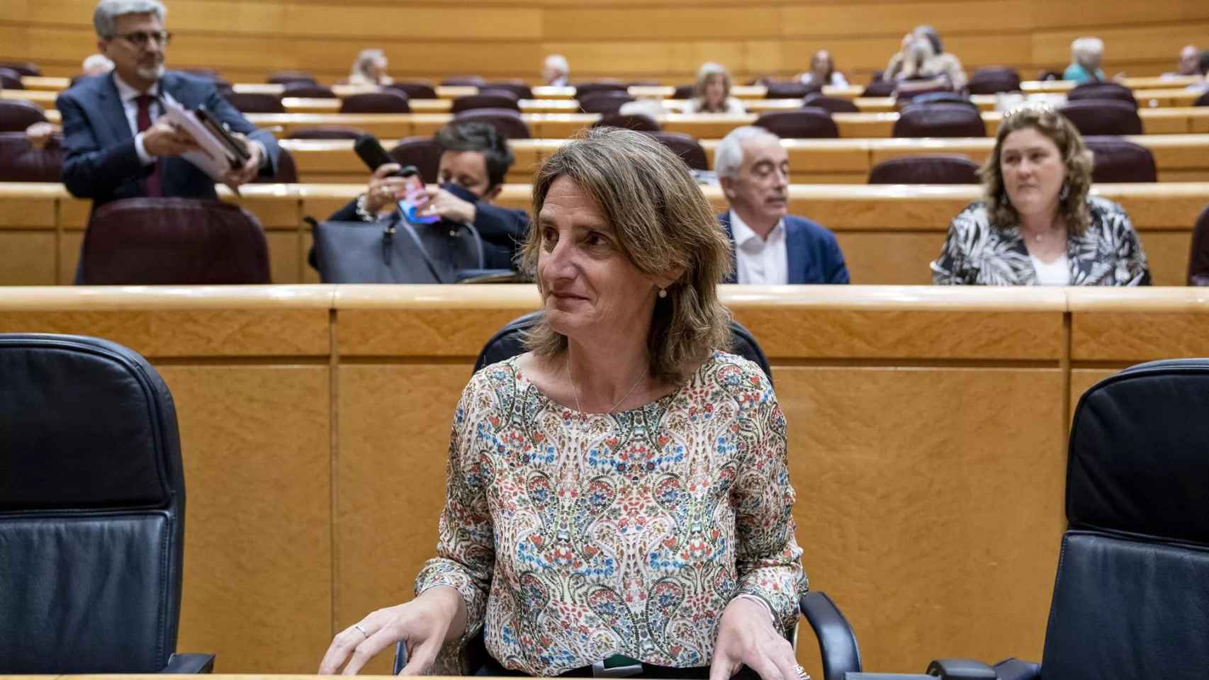 La vicepresidenta del Gobierno responsable de Transición Ecológica en funciones, Teresa Ribera / EP