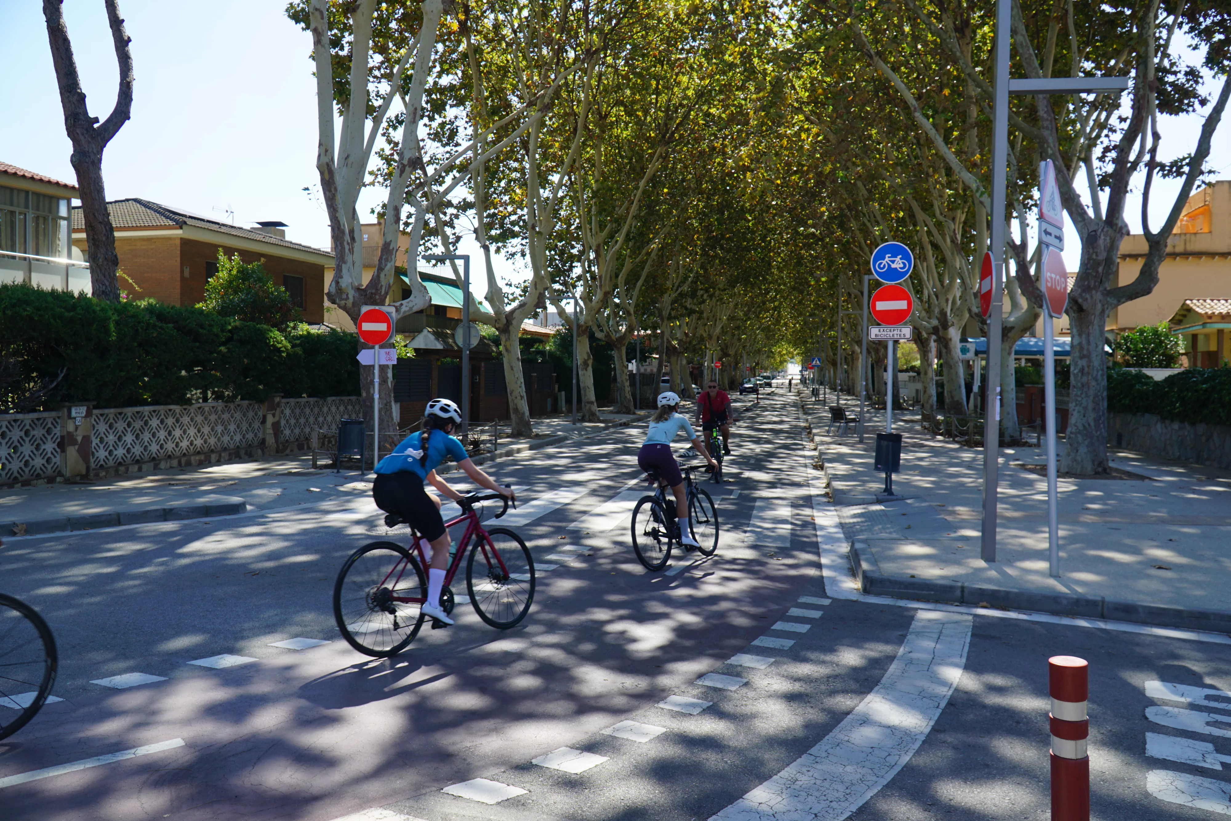 Carril bici de l'Avinguda de la Pineda en Castelldefels / CEDIDA