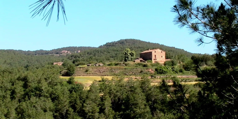 El bosque de Òrrius en una imagen de archivo / WIKIMEDIA COMMONS