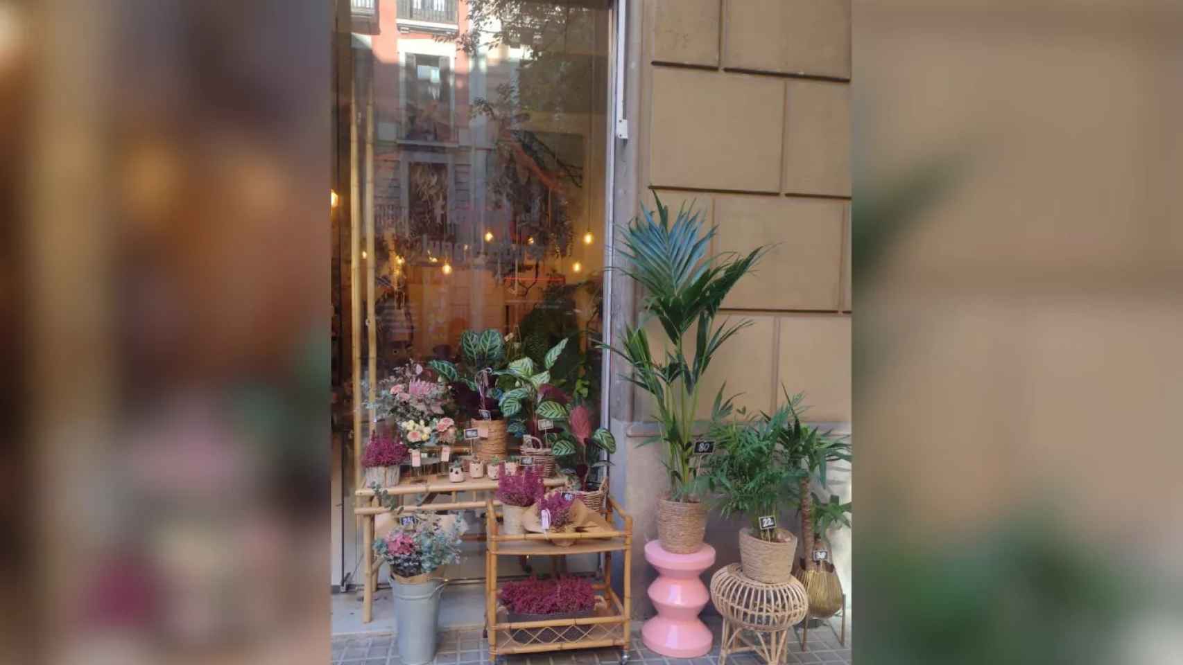 Entrada a la floristería Mowgli de Barcelona con decoraciones/ MOWGLI