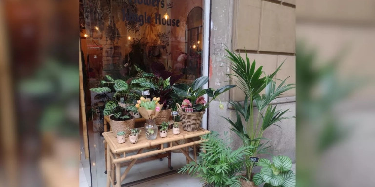 Entrada a la floristería Mowgli de Barcelona, con varias decoraciones / MOWGLI