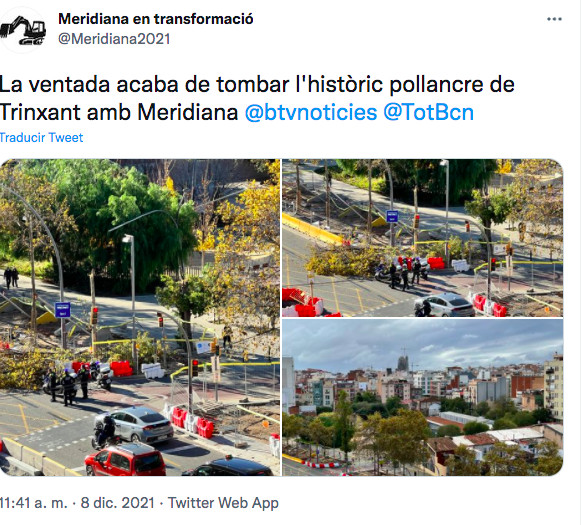 Tuit de Meridiana en Transformació sobre el árbol caído / TWITTER 