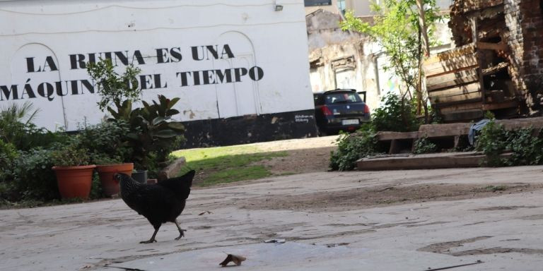 Una parte del recinto fabril de la Escocesa / ELISABET GONZALEZ