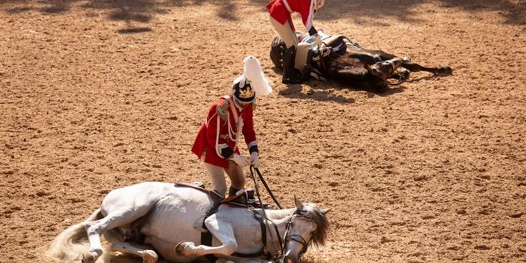 Caballos de la Guardia Urbana durante una exhibición / AYUNTAMIENTO DE BARCELONA