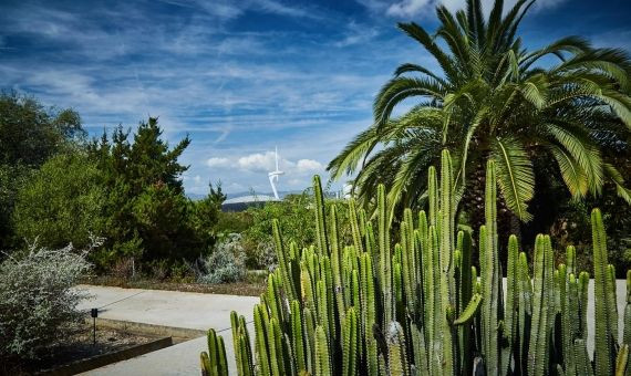 Jardí Botànic de Montjuïc / TURISME BARCELONA