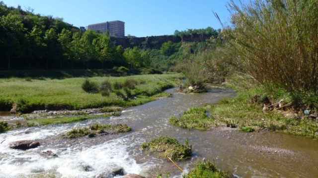 El río Ripoll de Sabadell en una imagen de archivo